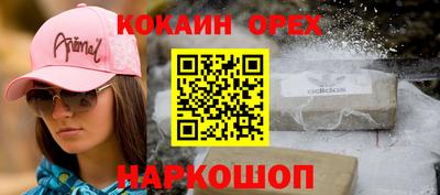 крисы Дубна