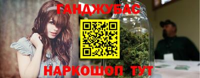 крисы Дубна