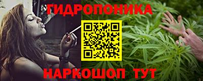 крисы Дубна