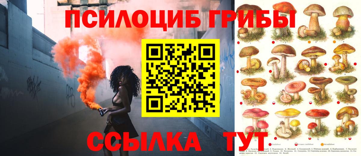 Галлюциногенные грибы ЛСД Дагестанские Огни
